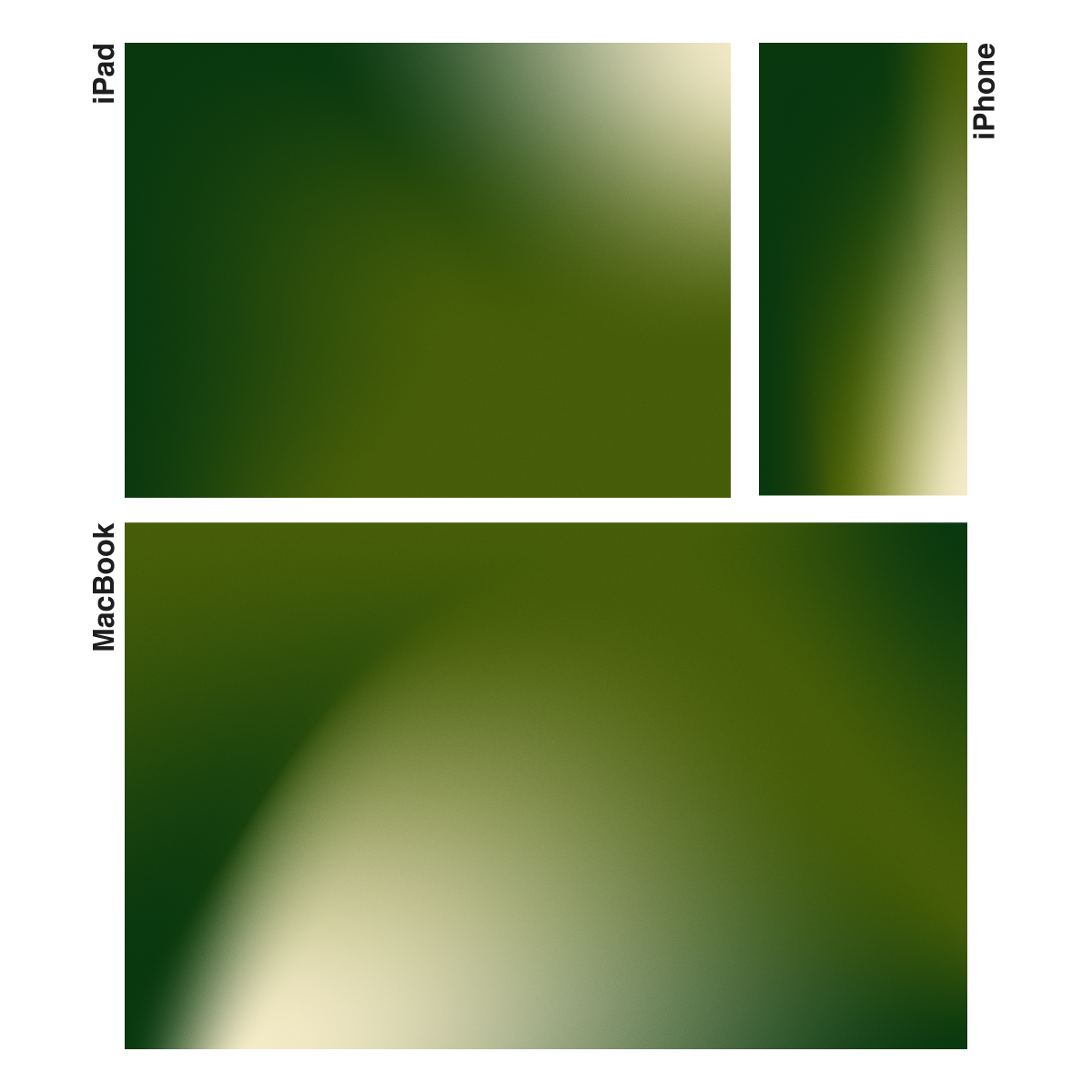 Canopy Light | Premium Wallpaper Set for iPhone iPad and Mac (T-073)