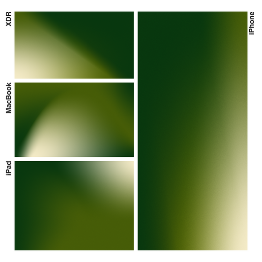 Canopy Light | Premium Wallpaper Set for iPhone iPad and Mac (T-073)